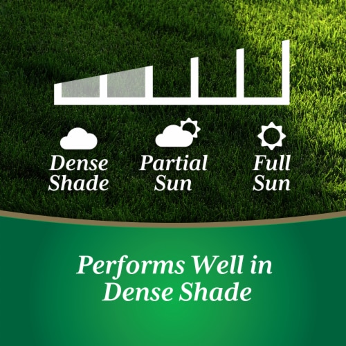 Nature's Own® Grass Seed Shady Mix - 3Lb Perspective: top