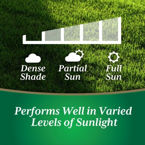 Nature's Own® Grass Seed Sun & Shade Mix - 3Lb Alaska Perspective: top