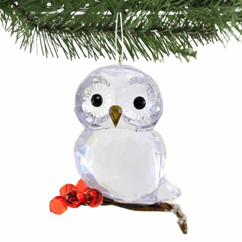 Crystal Expressions Winter Owl Ornament Acrylic Wise Berries Acryx237 Perspective: top