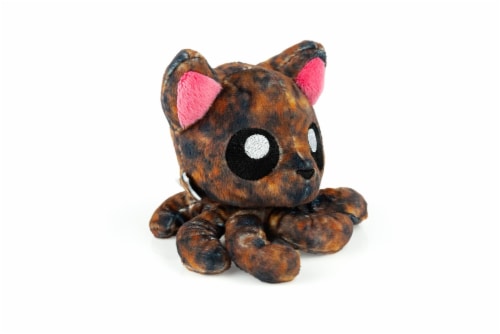 tortoiseshell cat teddy