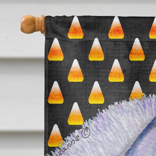 Carolines Treasures SS4257CHF Siberian Husky Candy Corn Halloween Portrait Hous Perspective: top