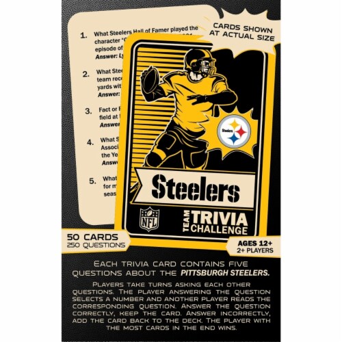 Pittsburgh Steelers Trivia Game Perspective: top