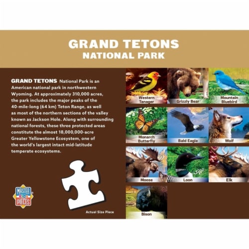 Wildlife Grand Teton National Park 100pc Perspective: top