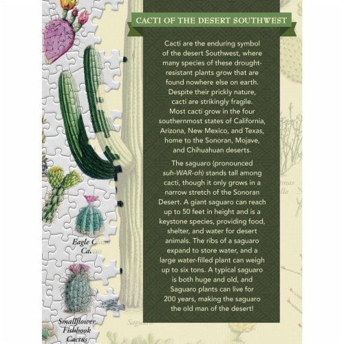 Cacti of the Desert Southwest 1000 Piece Linen Jigsaw Puzzle Perspective: top