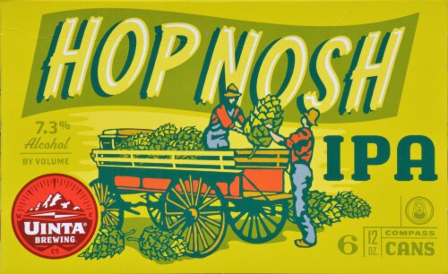 Uinta Brewing Hop Notch IPA Perspective: top