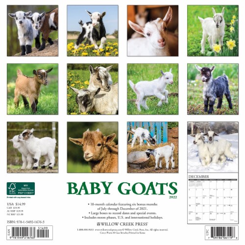 Baby Goats 2022 Wall Calendar, 1 - Kroger