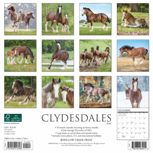 Clydesdales 2022 Wall Calendar (Horses), 1 - Kroger