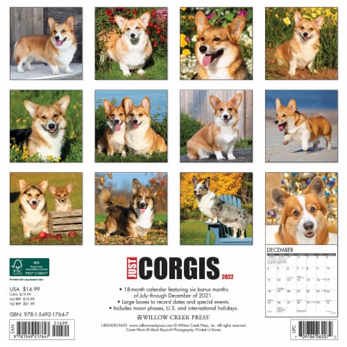 Just 2022 Wall Calendar, Dogs and Puppies (Dog Breed), 1