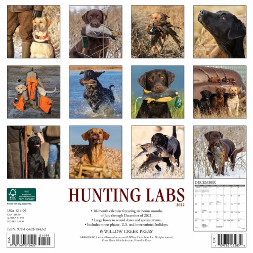 Hunting Labs 2022 Wall Calendar, (Labrador Retriever Dogs, Dog Breed
