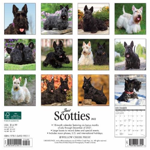 Just Scotties 2022 Wall Calendar (Dog Breed), 1 Fred Meyer