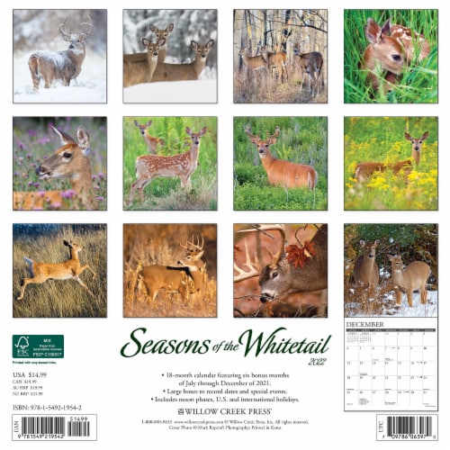 2022 Willow Creek Seasons of the Whitetail 12 x 12 Monthly Wall