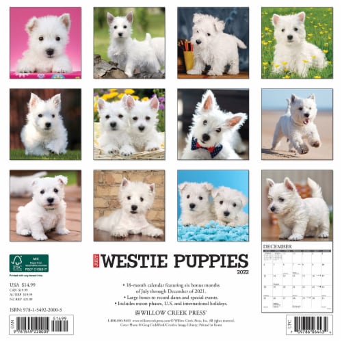 2022 Willow Creek Just Westie Puppies 12 x 12 Monthly Wall Calendar