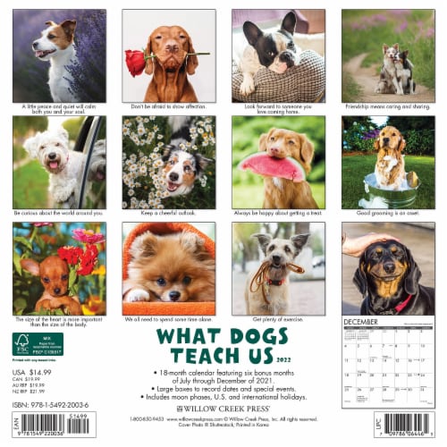What Dogs Teach Us 2022 Wall Calendar, 1 Kroger