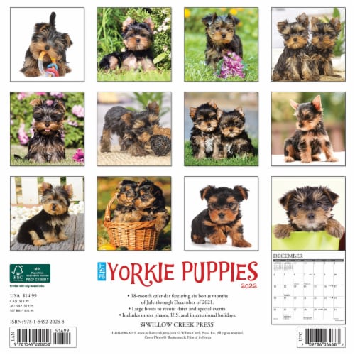 Yorkie 2025 Calendar