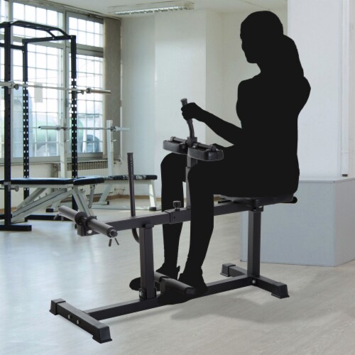 Soozier Seated Calf Raise Machine Home Gym Strength Training Equipment Exercise 1 Unit Harris Teeter