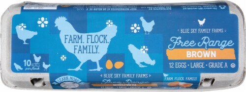 Blue Sky Free Range Large Brown Eggs Perspective: top