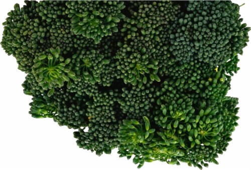 Mann’s Broccolini