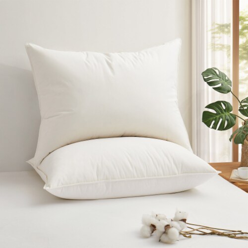 Top rated feather pillows hotsell