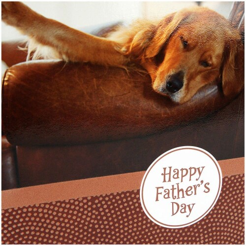Father's Day Card #26: Hallmark Father's Day Card (Sleeping Dog Relaxing Days Happiness and Love) Perspective: top
