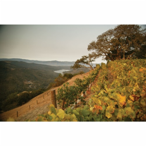 Kuleto Estate India Ink Blend California Red Wine Perspective: top