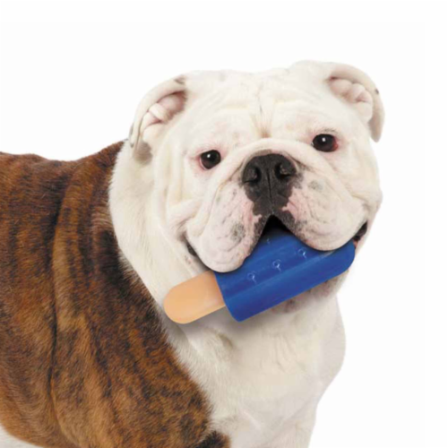 Cool Pup Popsicle Freeze Dog Toy, Blue, Large