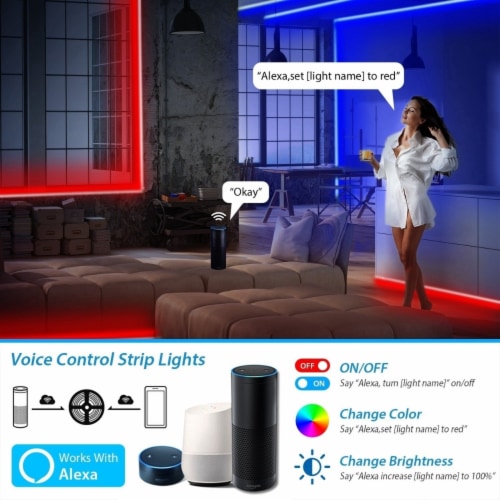 Color changing lights that work sales with alexa