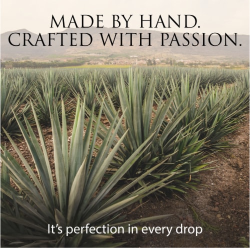 Patron® Reposado Tequila Perspective: top