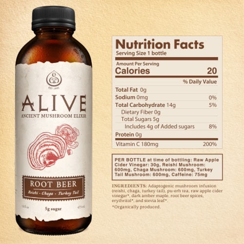 GT's Alive Root Beer Ancient Mushroom Elixir Drink Perspective: top