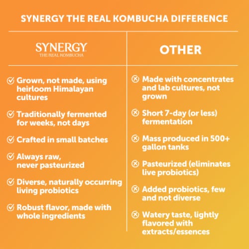 Synergy The Real Kombucha, Gingerade Perspective: top