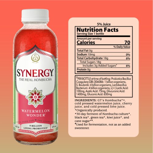 Synergy The Real Kombucha, Watermelon Wonder Perspective: top
