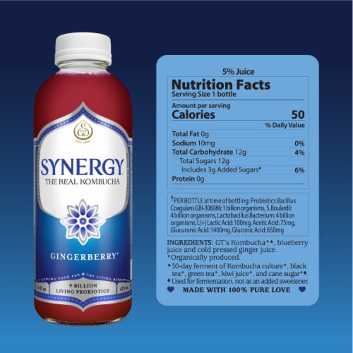 Synergy The Real Kombucha, Gingerberry Perspective: top