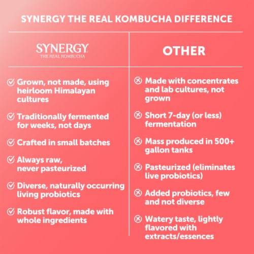 Synergy The Real Kombucha, Guava Goddess Perspective: top
