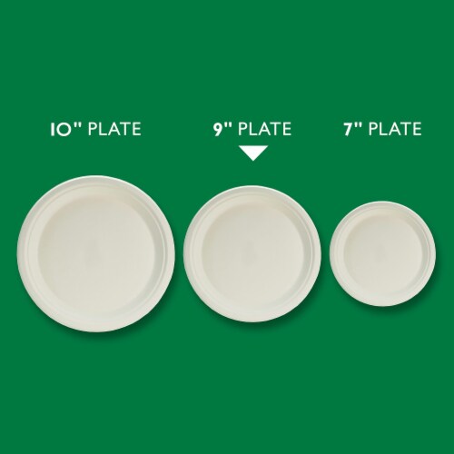Hefty ECOSAVE Compostable Paper Plates (Pack of 32) Perspective: top