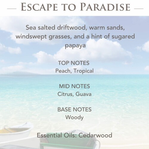 Escape to Paradise 2.5oz Wax Melt (Pack of 20) Perspective: top