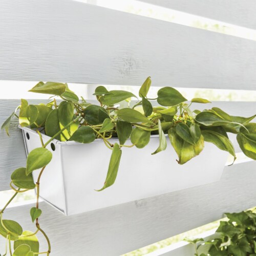 Krylon Spray Paint - White Perspective: top