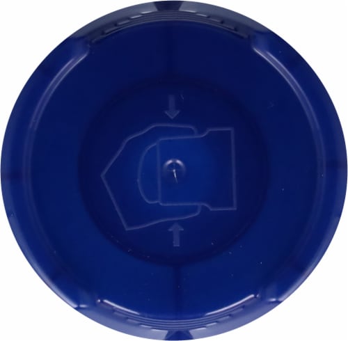 Krylon® Colormaxx Paint & Primer - Gloss Regal Blue Perspective: top