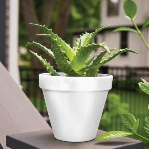Krylon® ColorMaxx Satin White Indoor/Outdoor Spray Paint and Primer Perspective: top