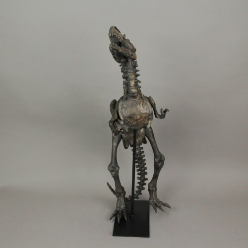 Lunarable Dinosaur Fitted Sheet Set, White Color Dinosaur Skeleton