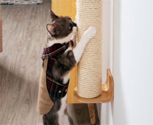 MyZoo Cylinder Replacement, Extend Cat scratcher, Scratching Post to 2 Times Length Perspective: top