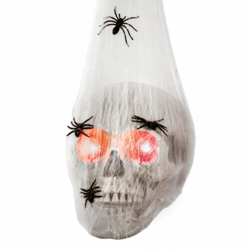 Animated Hanging Spider Larva Animated Hanging Spider Larva