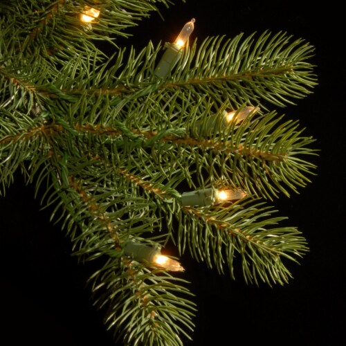 24 in. Pre-Lit Downswept Douglas Wreath with Warm White LED Lights- National Tree Company Perspective: top