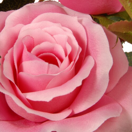 National Tree Company 10 Potted Pink Rose Flowers Perspective: top