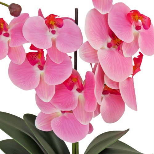 21 Pink Orchid Flower in White Basket Perspective: top