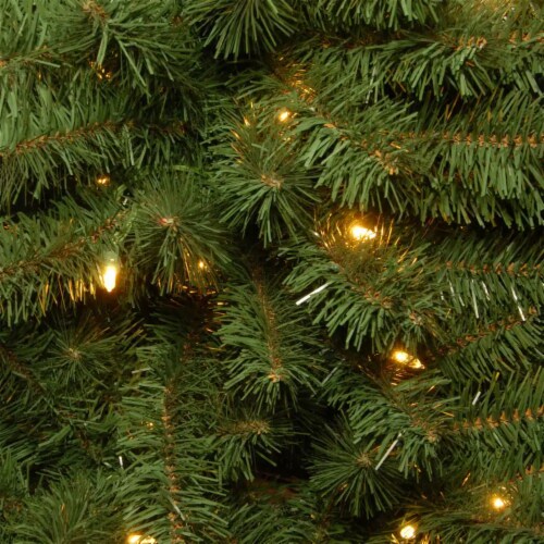 National Tree Company 6 Foot Prelit Kincaid Spruce Artificial Christmas