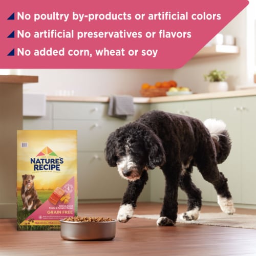 Nature's Recipe® Grain Free Adult Dry Dog Food Salmon, Sweet Potato & Pumpkin Perspective: top