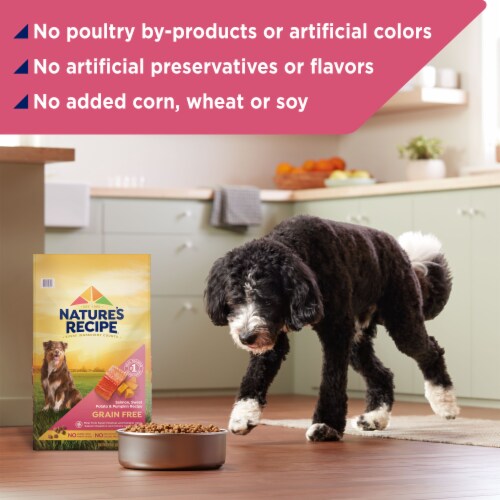 Nature's Recipe® Grain Free Adult Dry Dog Food Salmon, Sweet Potato & Pumpkin Perspective: top