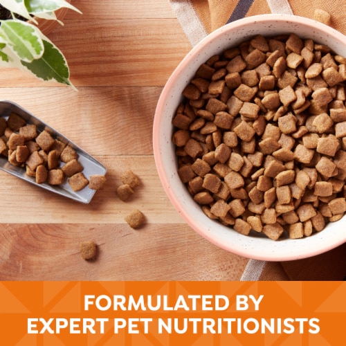 Nature's Recipe® Grain Free Adult Dry Dog Food Chicken, Sweet Potato & Pumpkin Perspective: top