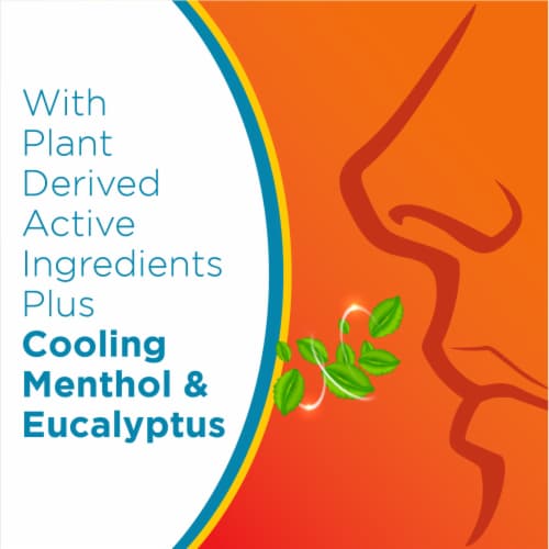 Zicam Cold Remedy with Cooling Menthol and Eucalyptus Shortens Colds Medicated Nasal Swabs Perspective: top