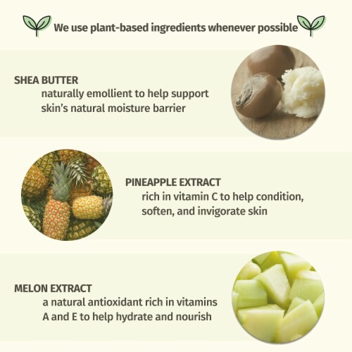 Hempz Lotion Pineapple Honey Melon Perspective: top