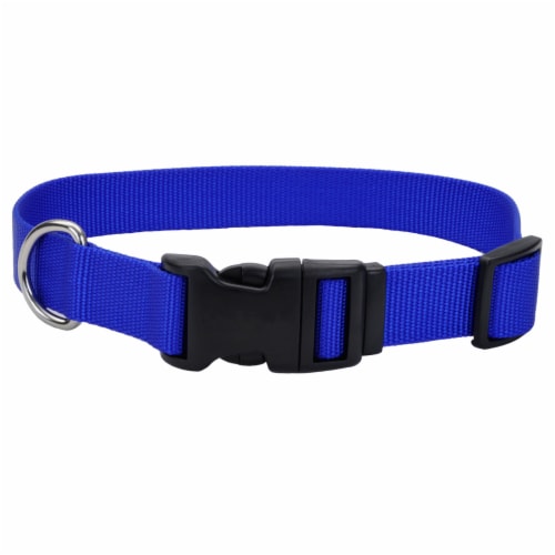 Alliance Blue Medium Dog Collar Perspective: top
